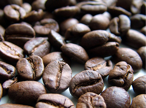 First Appellation of Origin - El Salvador